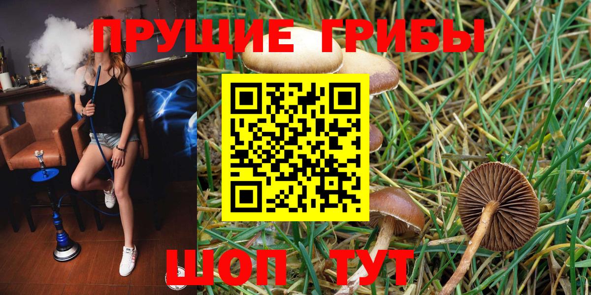 Псилоцибиновые грибы мицелий Междуреченск