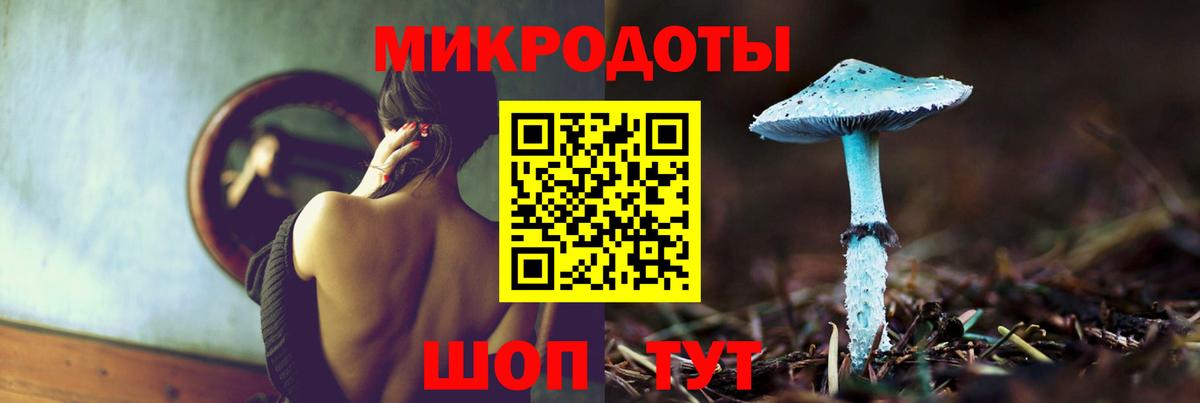 Галлюциногенные грибы MAGIC MUSHROOMS  Вход с VPN  наркота  Междуреченск 